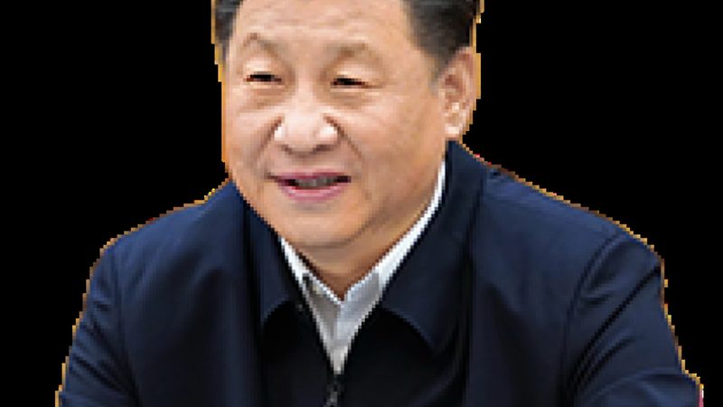 生物降解材料：不同降解周期的秘密**